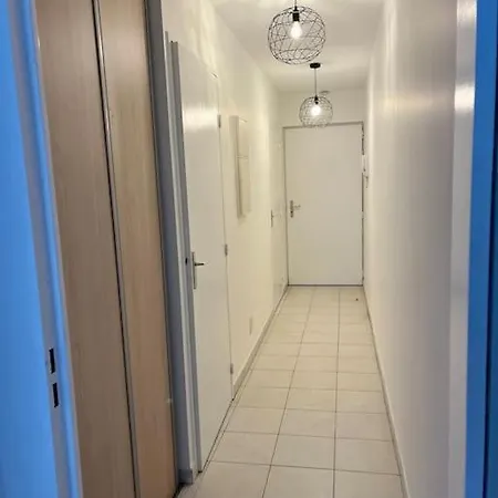 2 Pieces De 29 M2 דירה